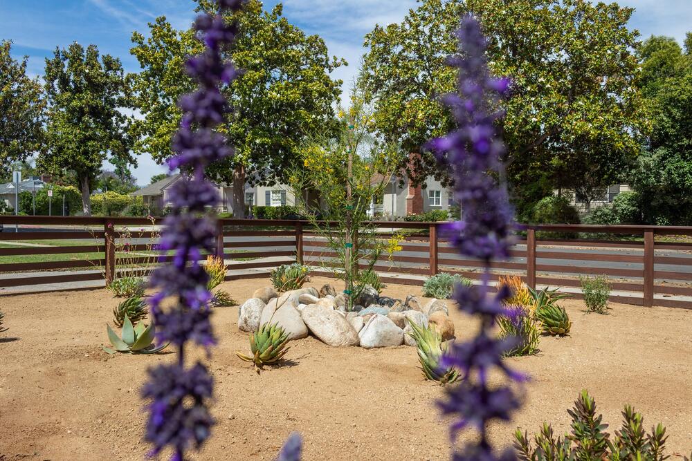 Decomposed Granite Front Yard