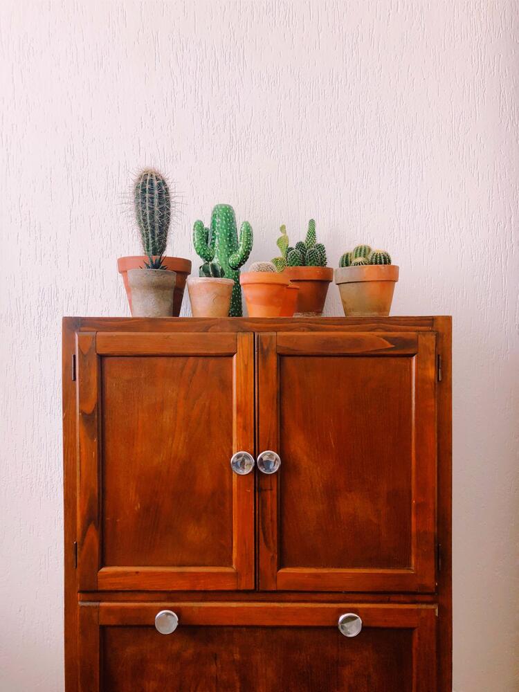 dresser plants